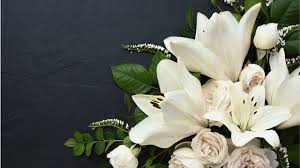 Chloe Mcmullen, Obituary Death: Shellharbour - City in Australia Has Sadly Passed Away